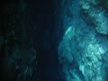 little-devil-spring-at-ginnie-springs.html