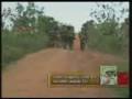 videos de Wanni Operation 31/12/2008 - Troops shatter earth bunds obstructing path to Kilinochchi