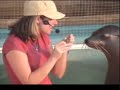 Sea Lion Splash Part 1 Sea Lion Splash Part 1