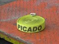 Picado Older Demonstration