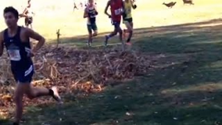 Runner hit by deer at DeSales University