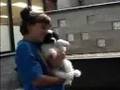 Sports Dogs adopt & recruit a puppy & teamate