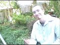 The Call - Numa (Part 2)