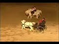 Starfire Farm at NWSS 2006