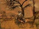 Darkfall Online - Revolutionary MMORPG