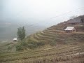 sapa