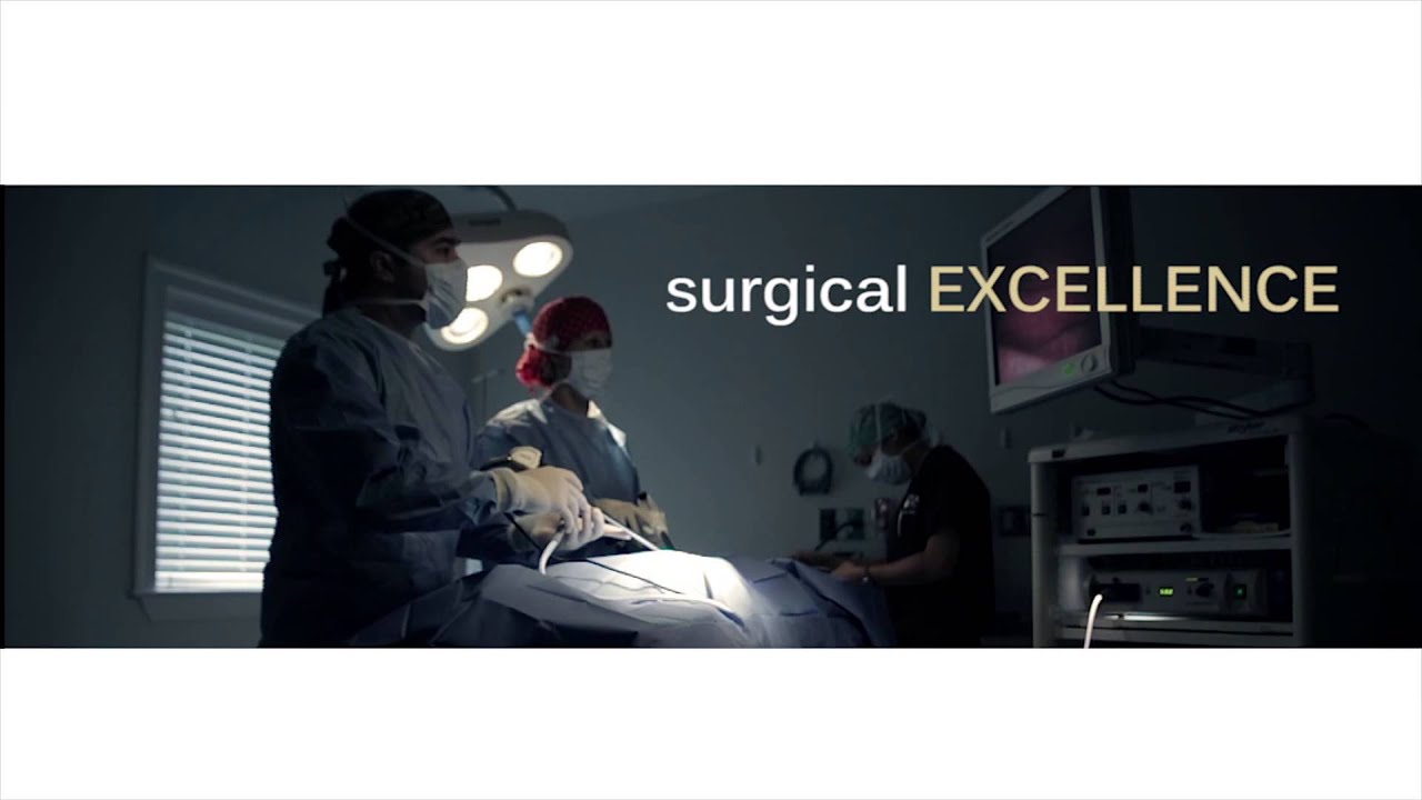 VSC Vet Commercial