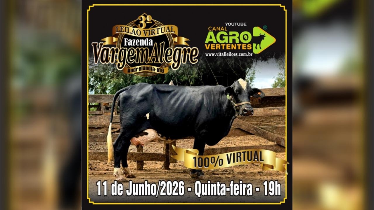3º LEILÃO VIRTUAL FAZENDA VARGEM ALEGRE - LUÍS ANTÔNIO - ANDRELÂNDIA/MG - 11/06/2026