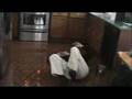 WSIB - Workplace Safety - Las Vegas