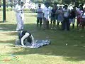 JCTD dubai (mamzar outdoor fellowship p1)