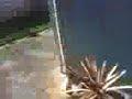 Boy scared of shock pen 1