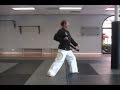 Tae Kwon Do Chon-Ji Tutorial