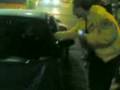 FITTO-L-CON-BROCCHI-