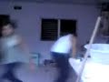 pantera-san-jose-92.html