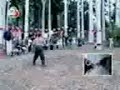Los mejores videos de humor, caidas, accidetes .... parte 2