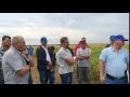 День Поля - ТОВ Птахівник - 30.08.16 (ч.3)