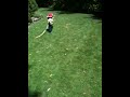 Baby,Ducks,Chasing