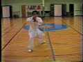 Chen Taiji