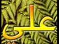 Bilal i Habe�i 2008 Abdurrahman �n�l 2008