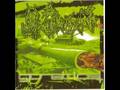 Goregrind and Porngrind from Germany Part 1
