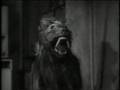 5 Rubbish Movie Monsters