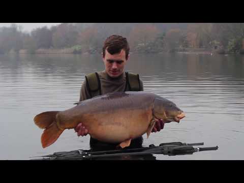XL Carp Video