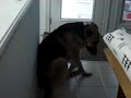 Jerry Lee Pleases Himself