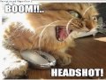 internet funnies