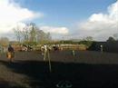 entrainement de pony games banteux - bouteilles & 5 tasses