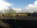 entrainement de pony games banteux - bouteilles & 5 tasses