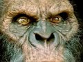 cryptozoology: the science of myth