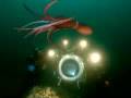 Cryptozoology: The Science of Myth