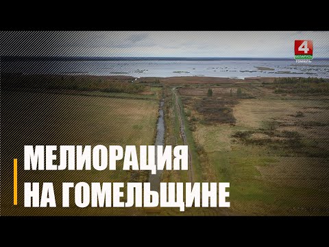 Сколько времени нужно, чтобы джунгли превратились в чистое поле? видео