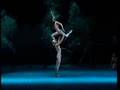 Zakharova and Tsiskaridze Midsummer Night's Dream 1