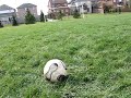 How To Curve a Soccer Ball