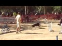 1� m�nega competici�