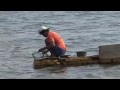 Selling Indonesia's coast for cheap prawns and profit