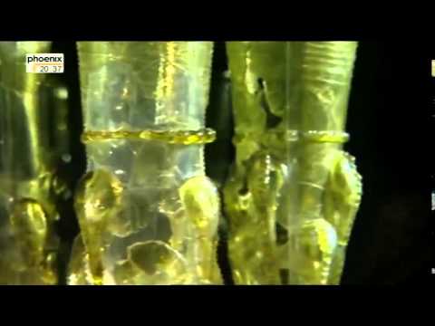 Die Geschichte der Nordsee - Erste Küstenbewohner - ...