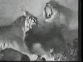 Bengal Tigress vs Asiatic Lion (No death)