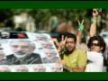چه گوارا، محسن نامجو و ميرحسين موسوي