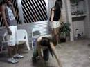 liticia loka liticia loka