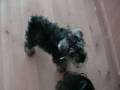 Freddy at Four Months!