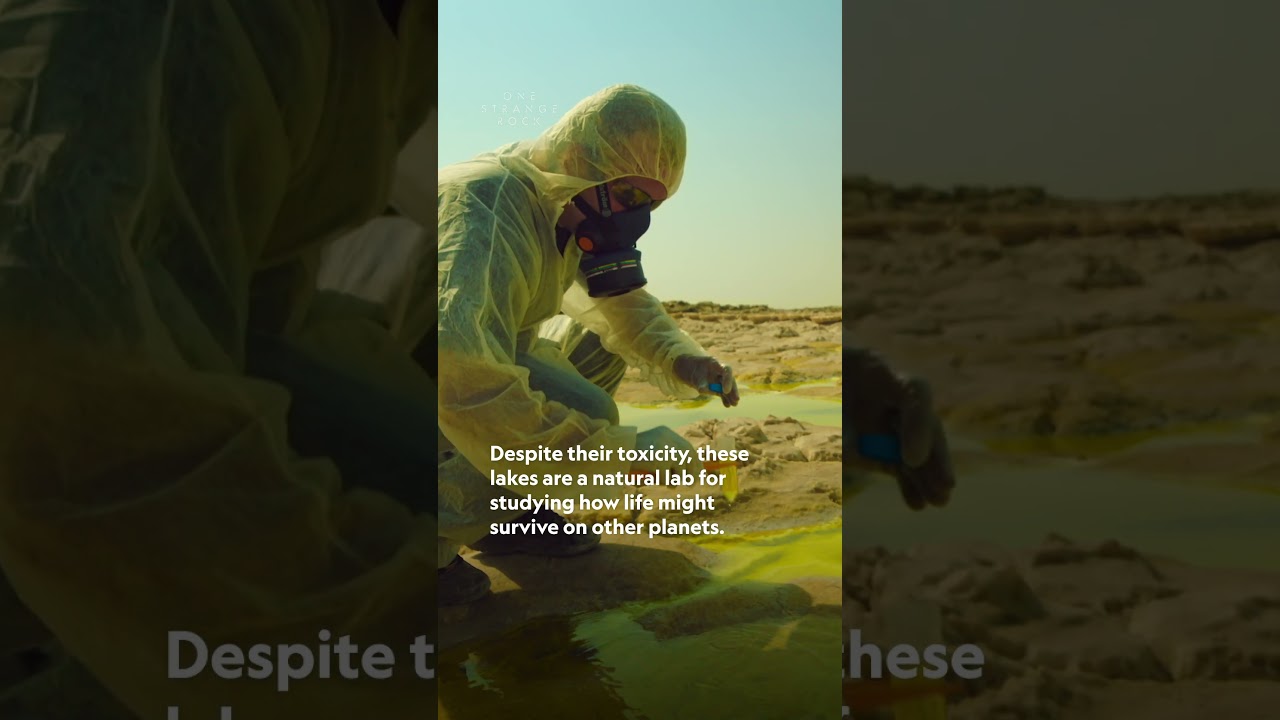 Acid lakes in Ethiopia may have insight on how life might survive on other planets #OneStrangeRock