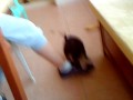 MOV00082.MP4