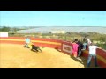Pelcula.WMV
