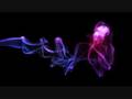 Paul-van-Dyk-In-Circ
