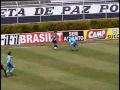 KAPELASPORTS ..CAIO ENRICO CENTROAVANTE ANO 91