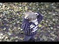 Giovanni @ Silver falls 2