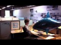 Pet shark on the loose at the Tornado Design offices: http://t.co/EfPwaAWX http://t.co/EfPwaAWX