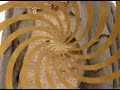 Tudor Gheorghe - A venit si aici Craciunul (Radu Gyr) Tudor Gheorghe - A venit si aici Craciunul (Radu Gyr)